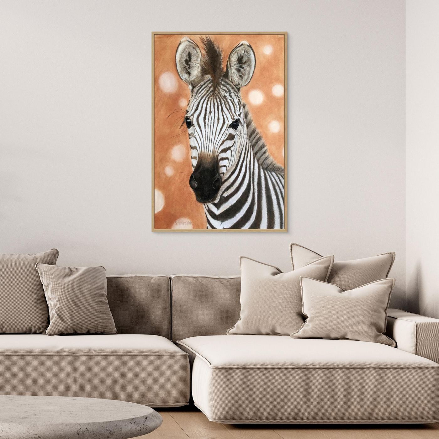 Zebra foal