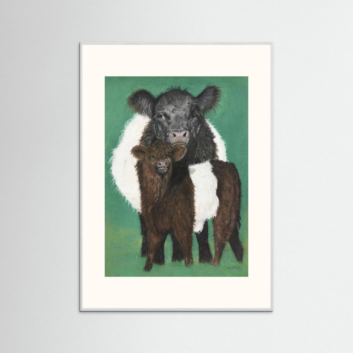 Belted Galloway cow and calf countryside wall art by Fiona Stansfield