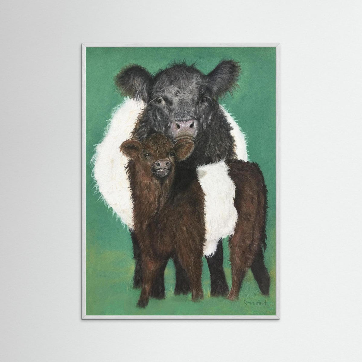 Belted Galloway cow and calf countryside wall art by Fiona Stansfield