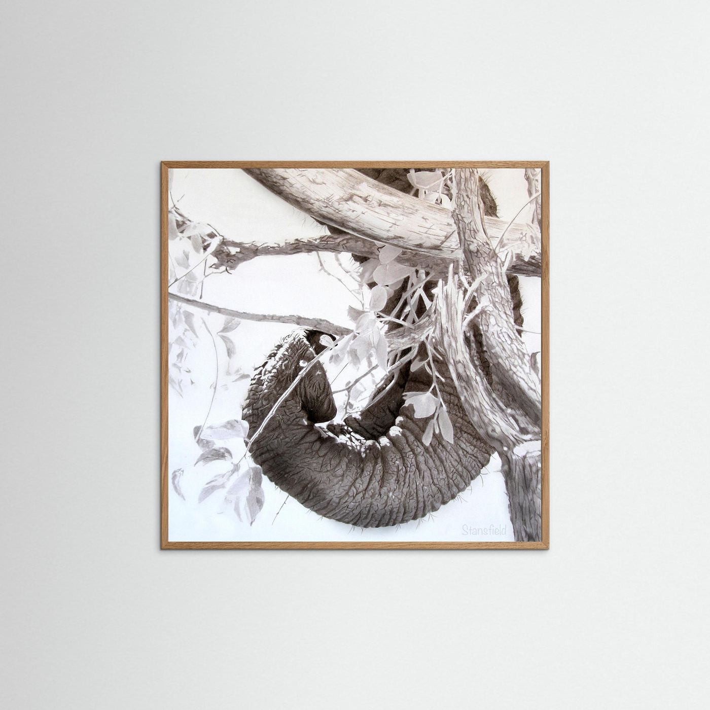 Elephant trunk, tusk and tree