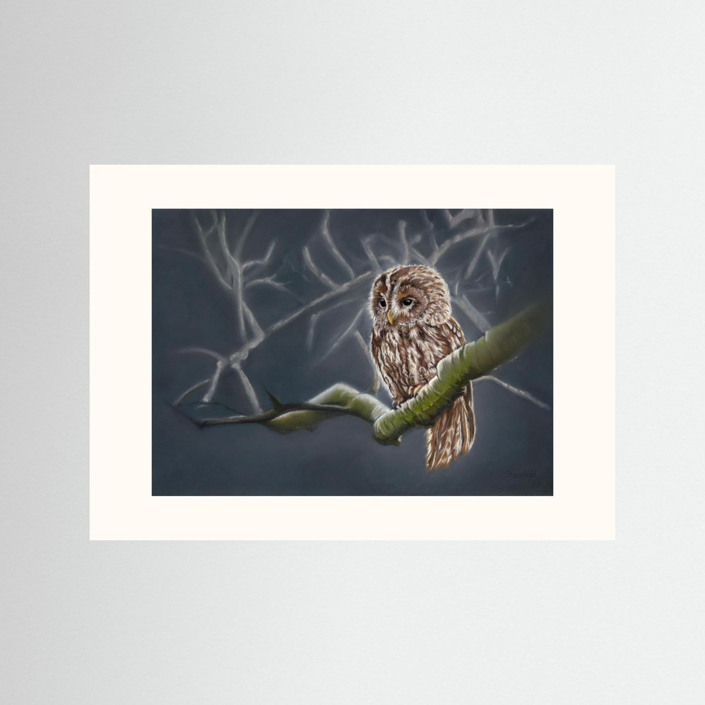 Moonlit tawny owl: open edition print