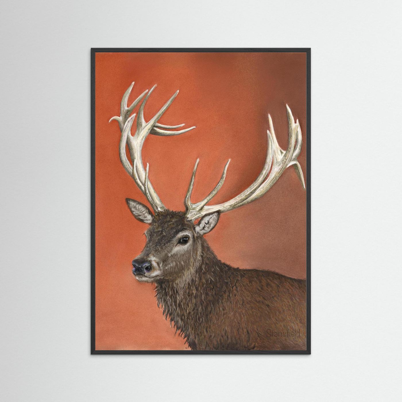 Red deer stag: open edition print