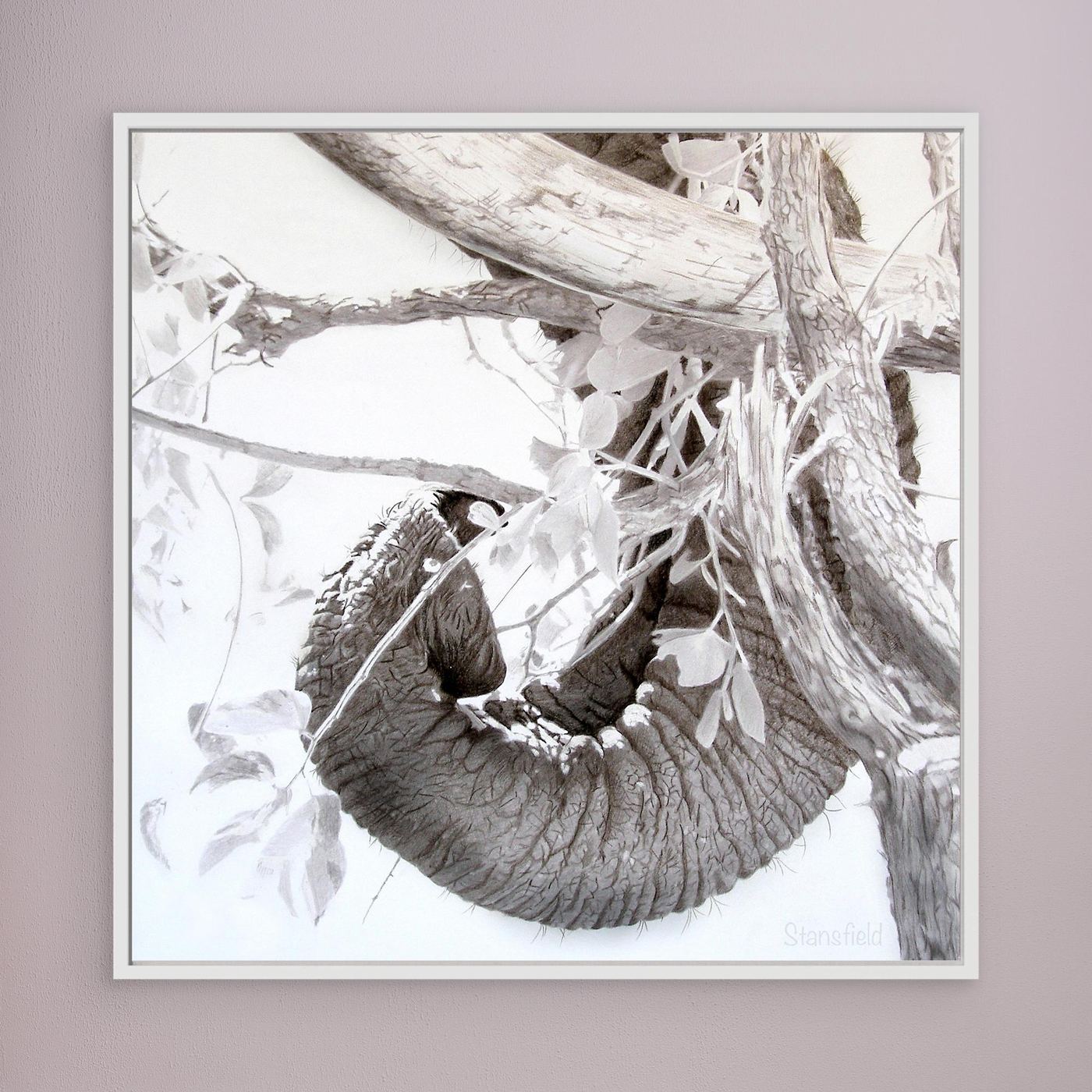 Elephant trunk, tusk, tree