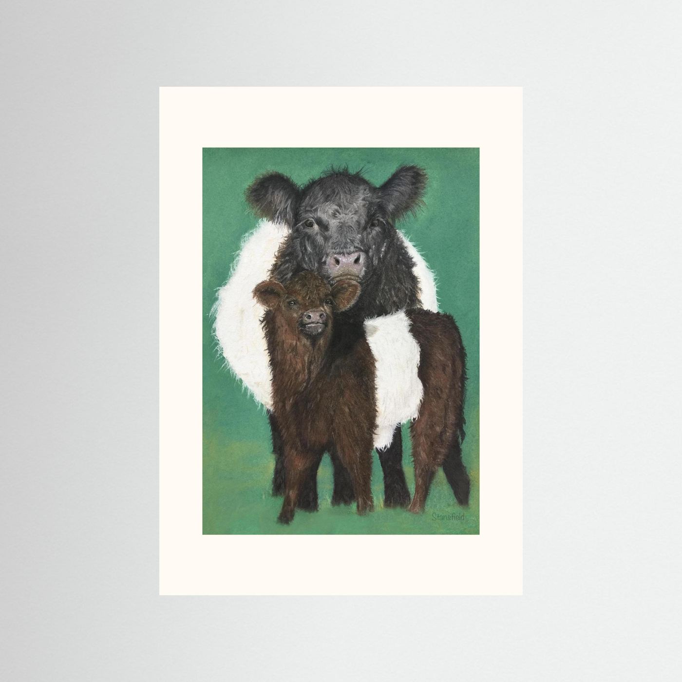 Belted Galloway cow and calf open edition fine art print by Fiona Stansfield