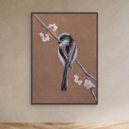 Long tailed tit - blossom