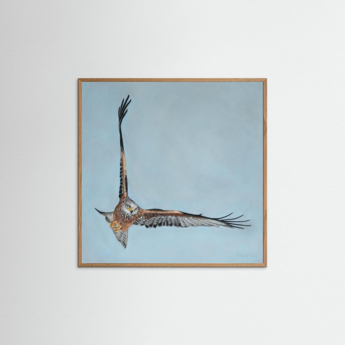 Red kite: open edition print