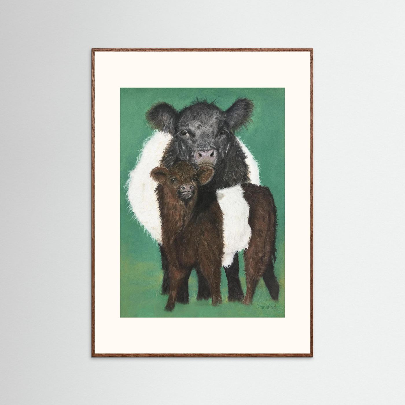 Belted Galloway open edition farm animal art print