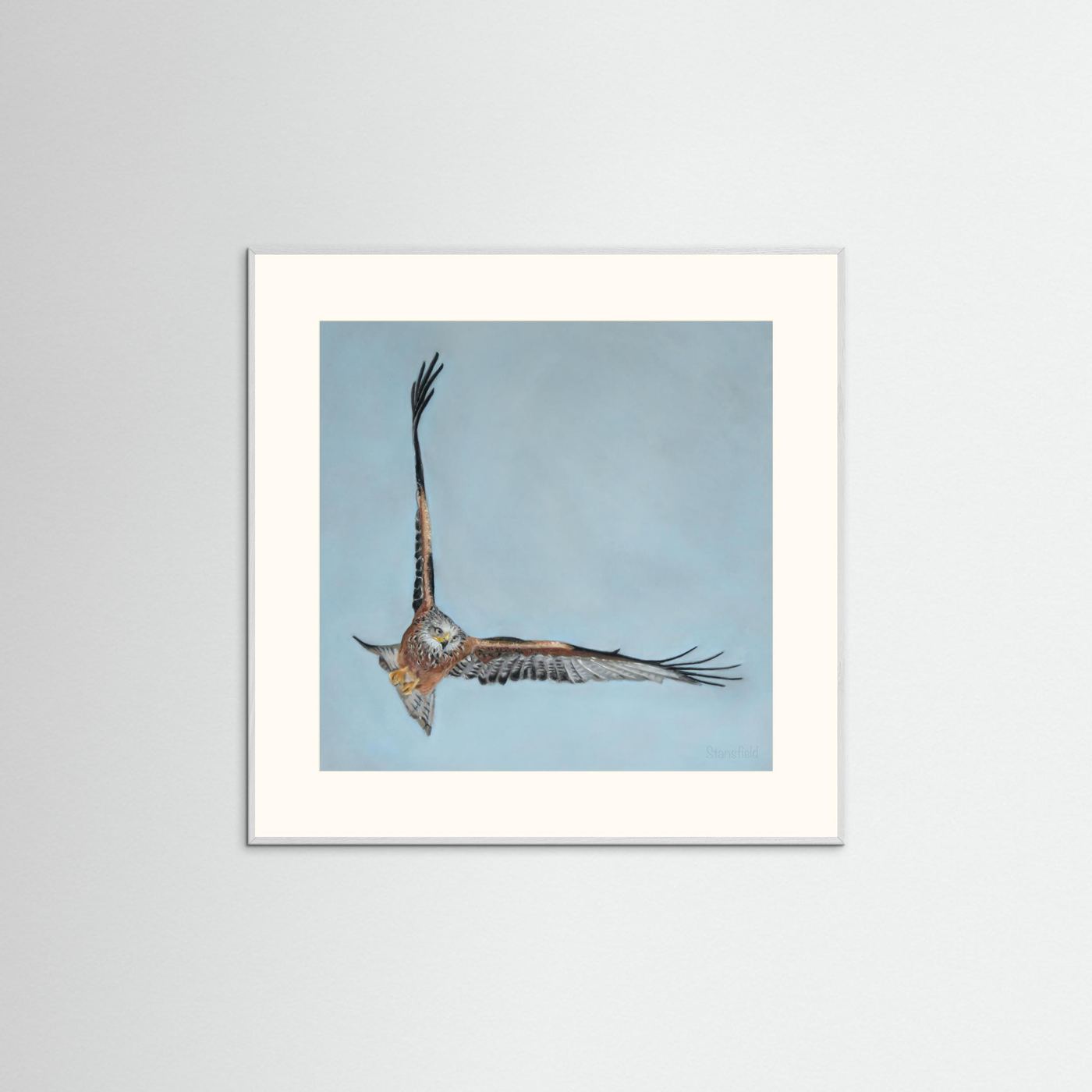 Red kite: open edition print