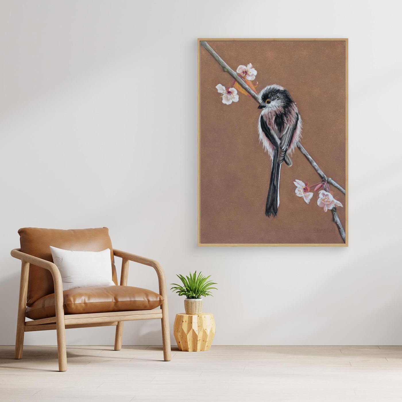 Long tailed tit - blossom