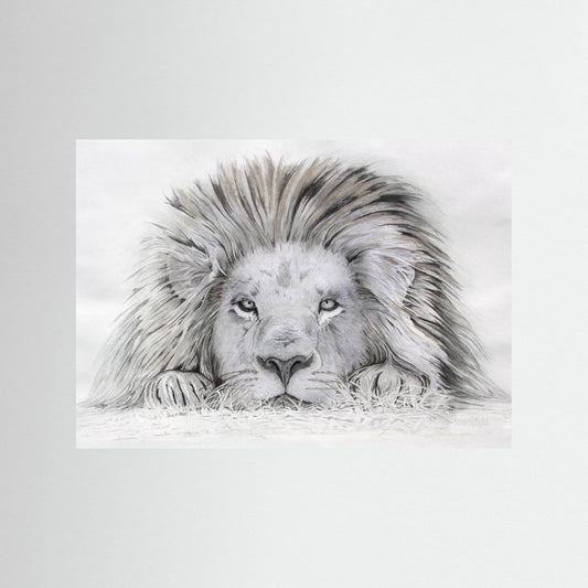Lion - I see you: open edition print