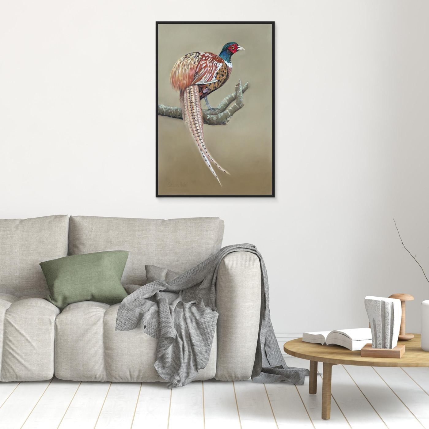 Male pheasant