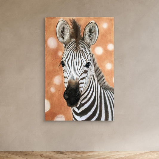 Zebra foal