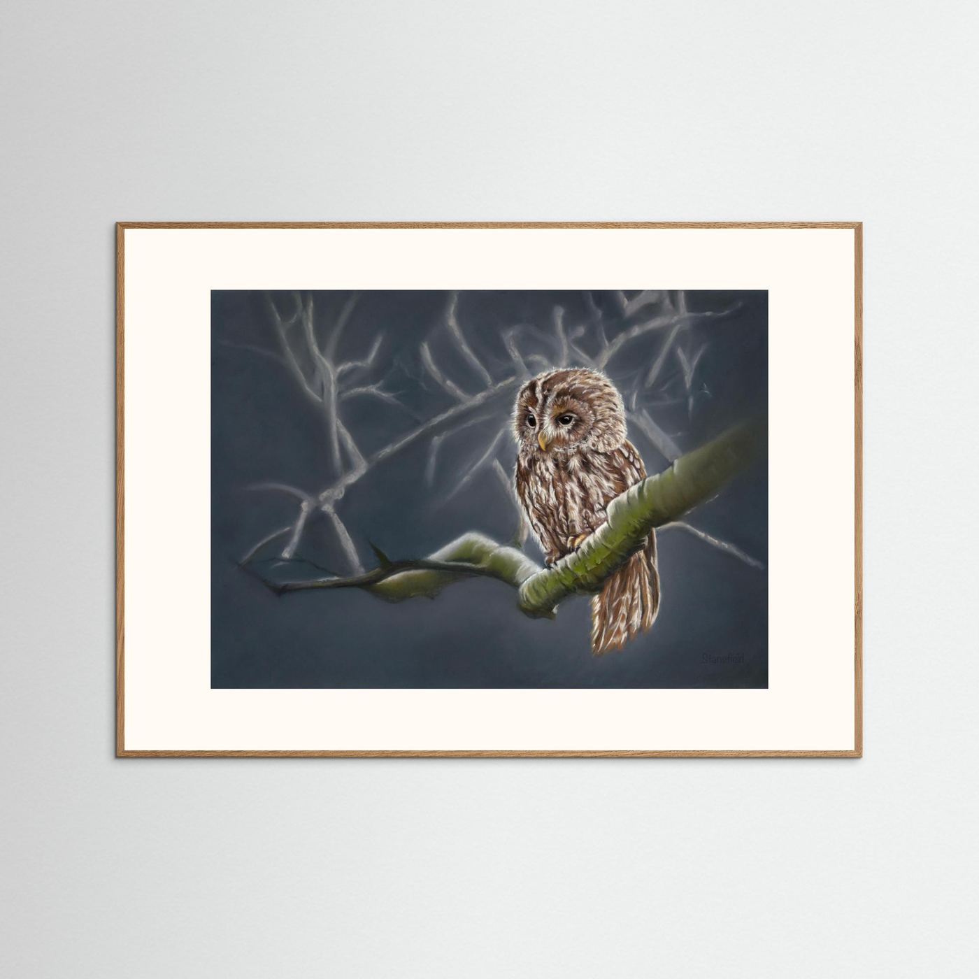 Moonlit tawny owl: open edition print
