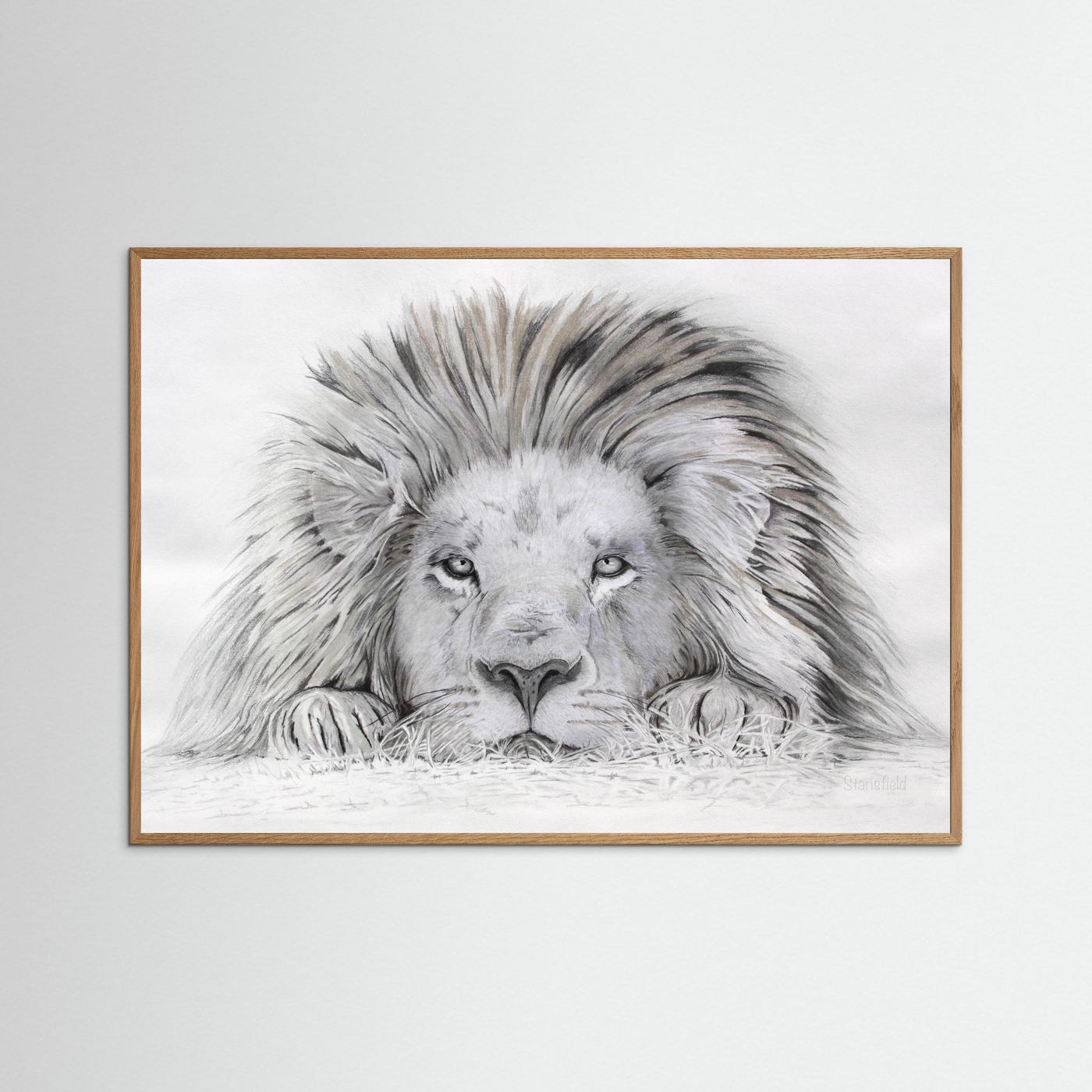 Lion - I see you: open edition print