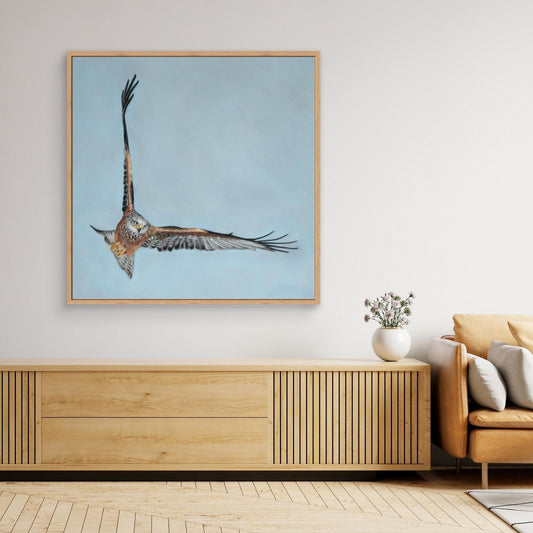 Red kite