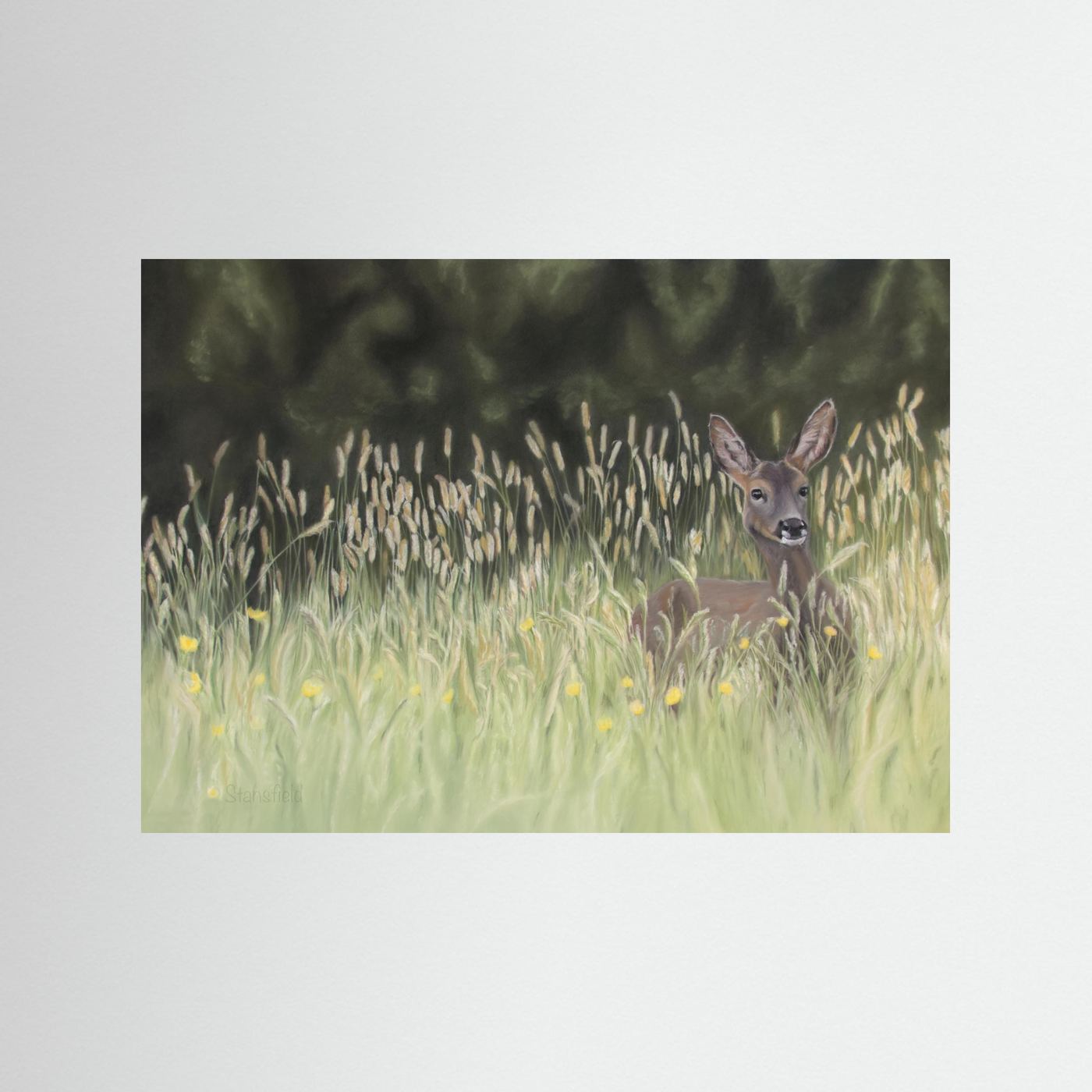 Morning meadow: open edition print