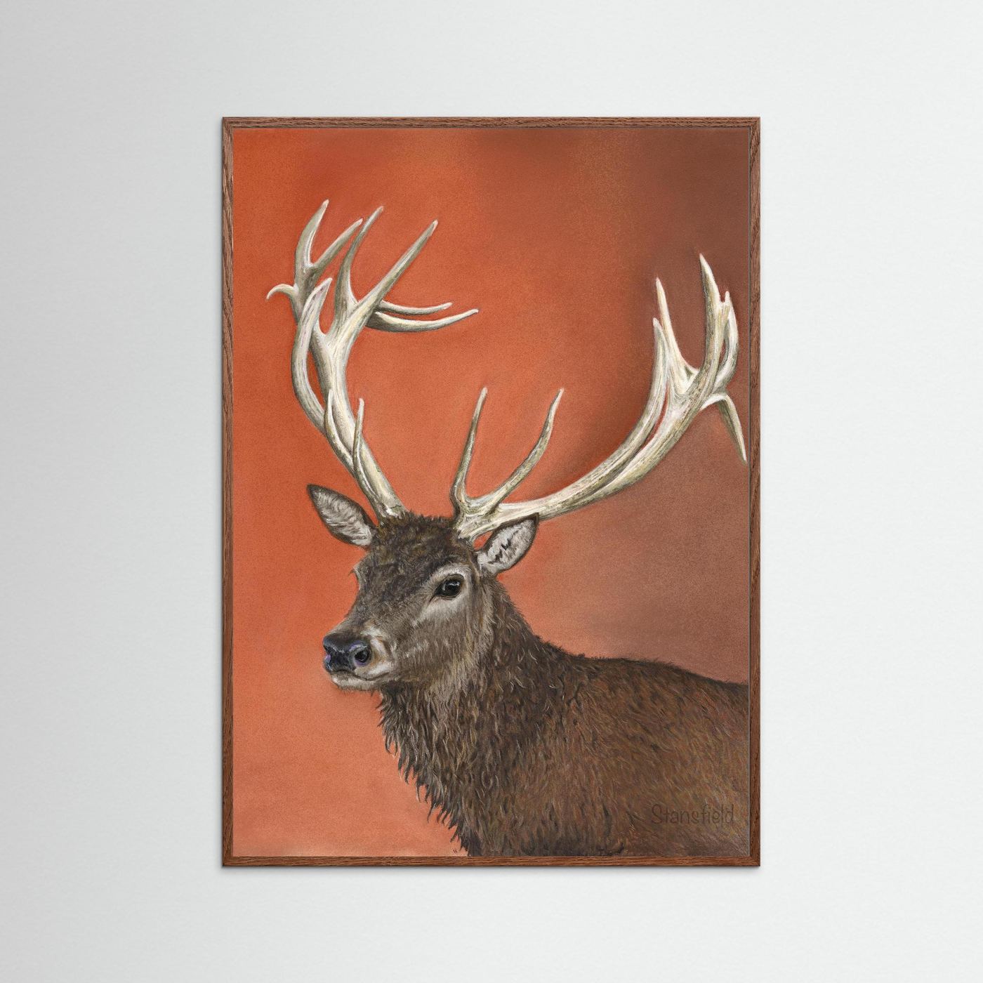 Red deer stag: open edition print