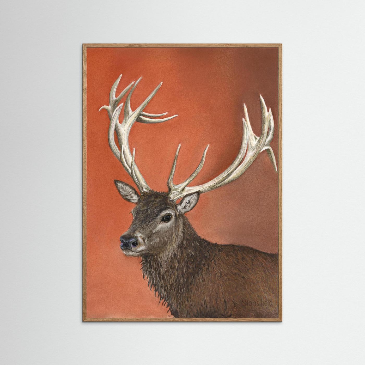 Red deer stag: open edition print