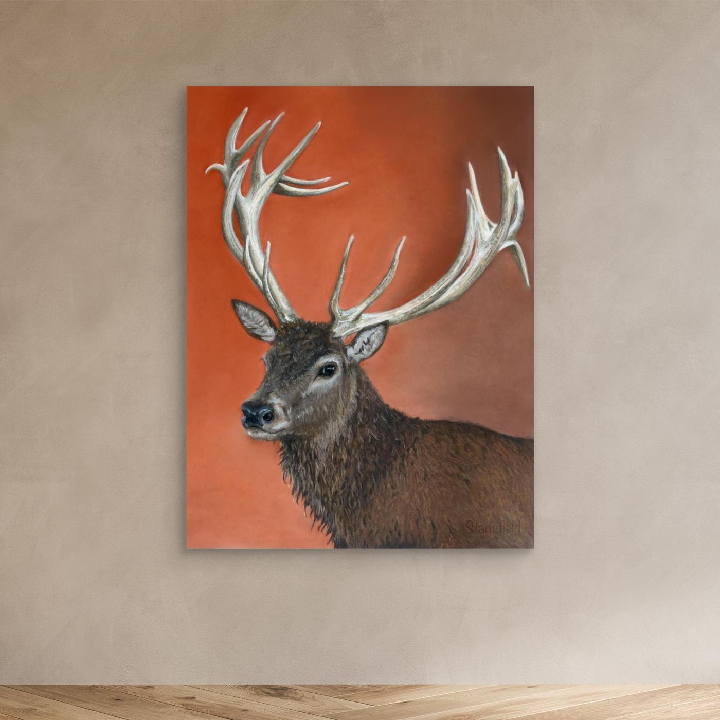 Red deer stag
