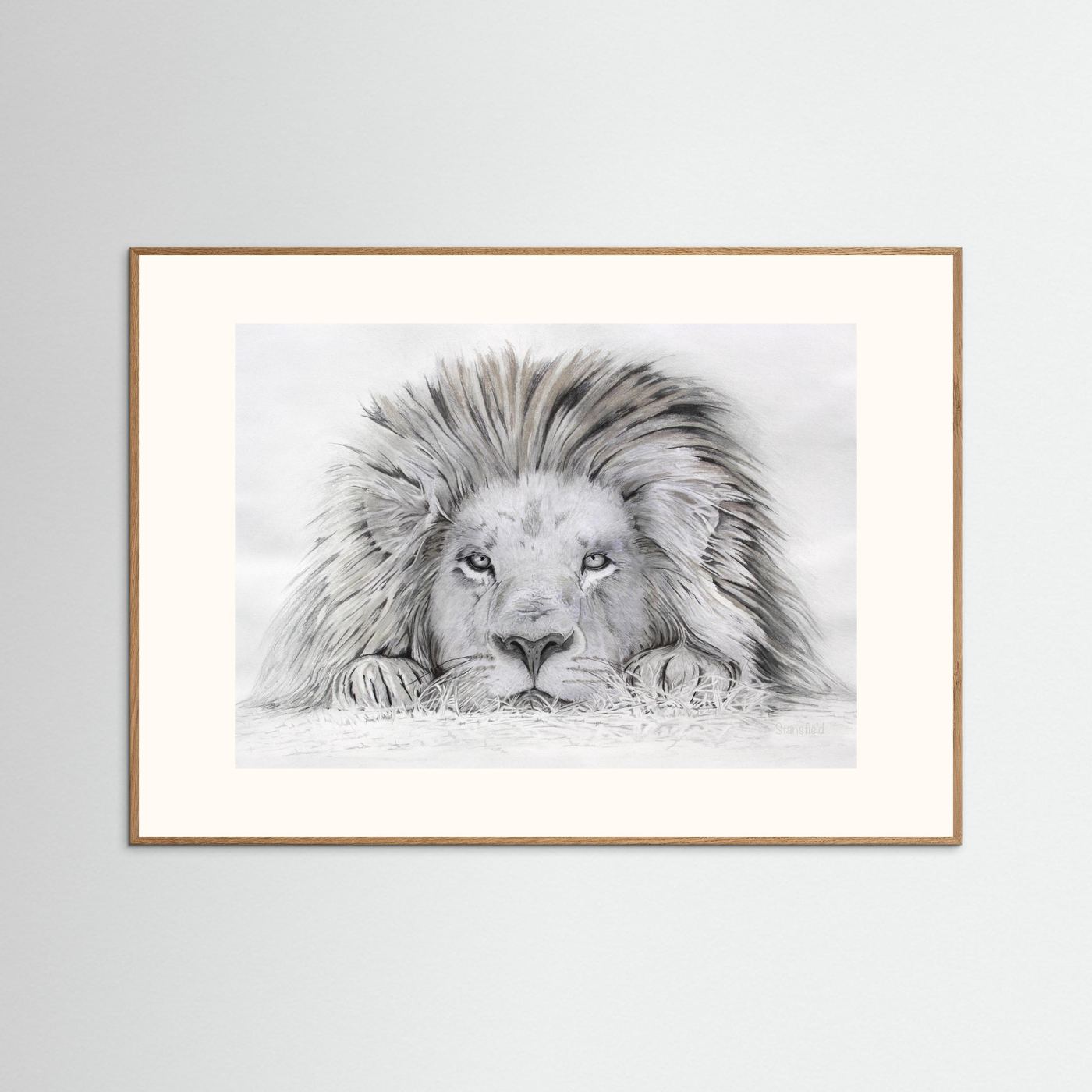 Lion - I see you: open edition print