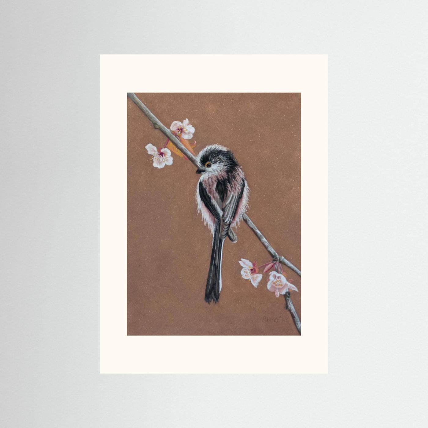 Long tailed tit - blossom: open edition print