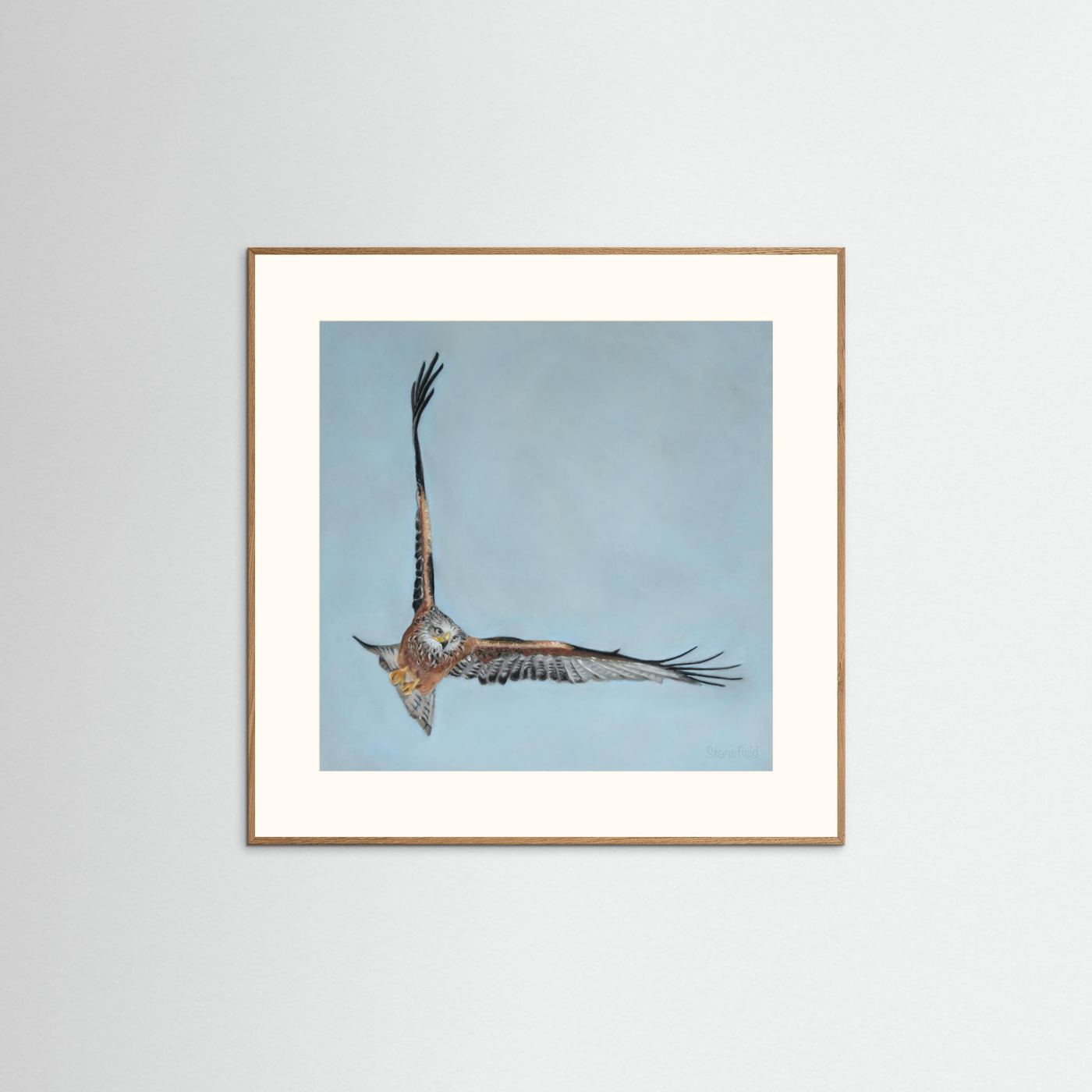 Red kite: open edition print