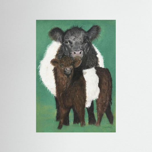 Belted Galloway cow and calf: open edition print