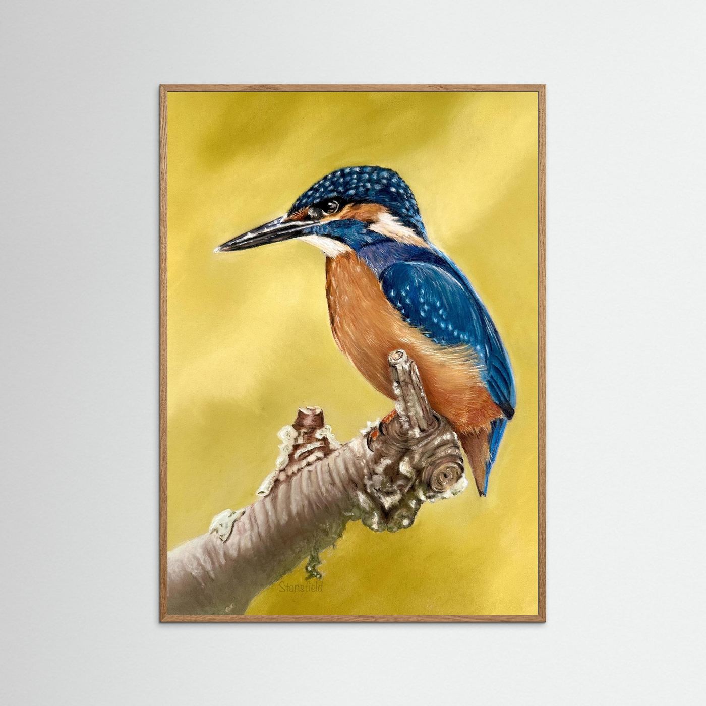 Kingfisher