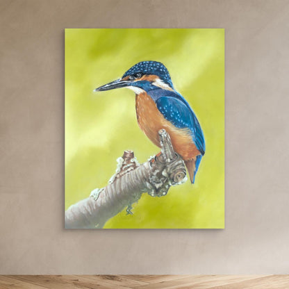 Kingfisher