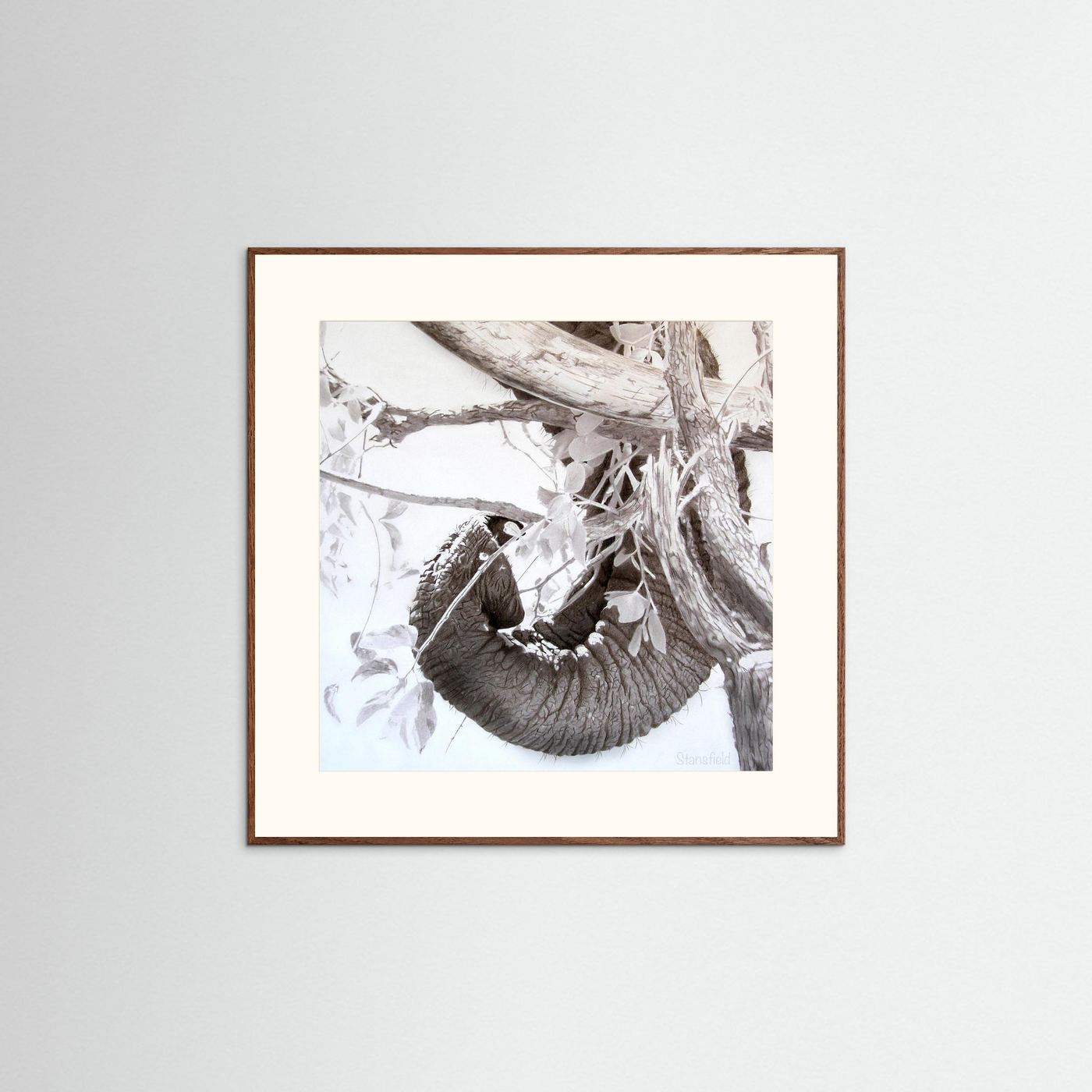 Elephant trunk, tusk and tree