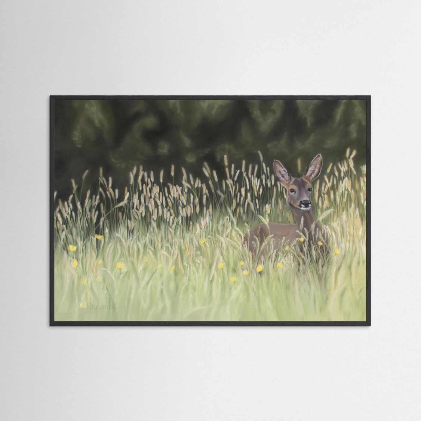 Morning meadow: open edition print