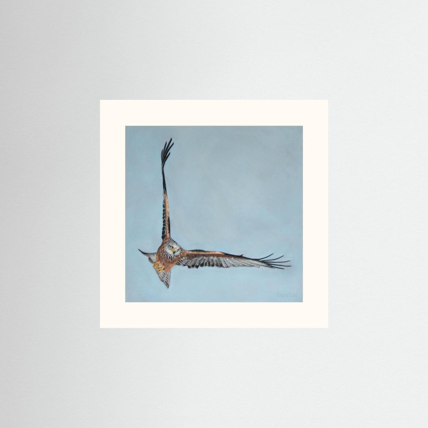 Red kite: open edition print