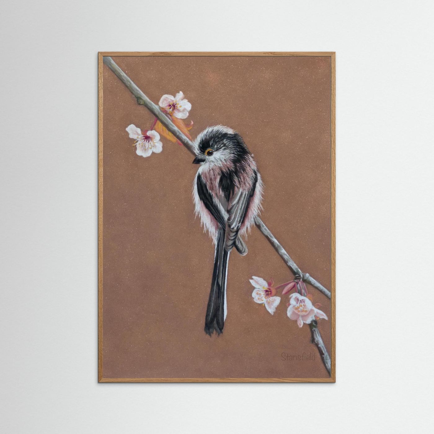 Long tailed tit - blossom: open edition print