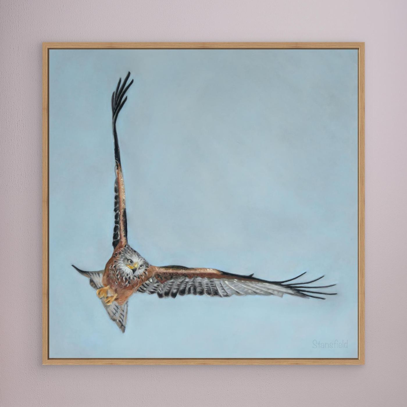 Red kite