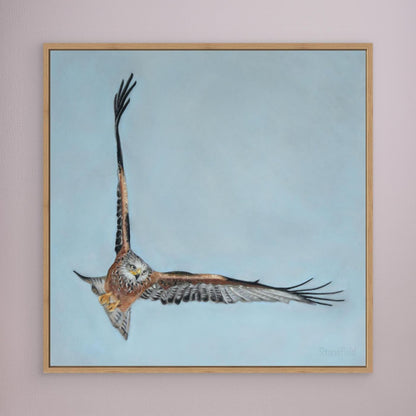 Red kite