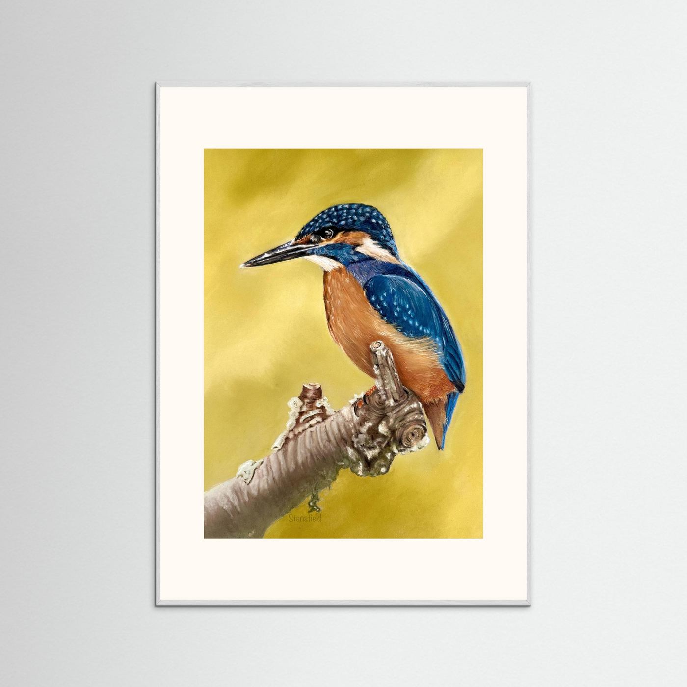 Kingfisher