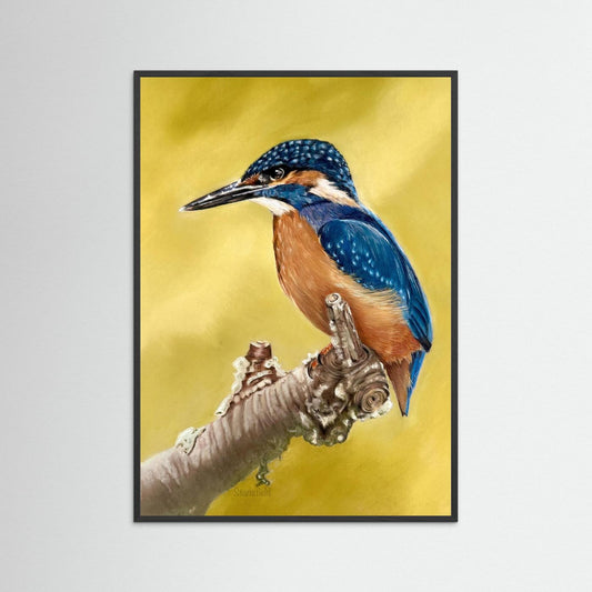 Kingfisher