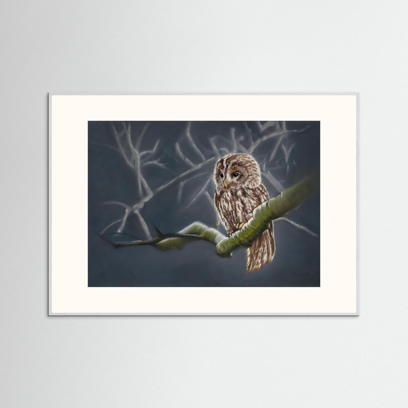 Tawny owl perched on a moonlit branch in a pastel wildlife painting by a Scottish wildlife artist
