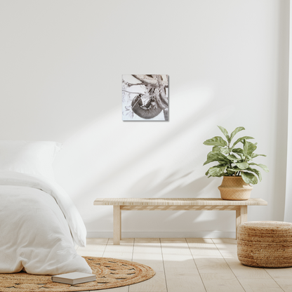 Elephant tusk, trunk, tree: a stretched canvas print of elephant dexterity