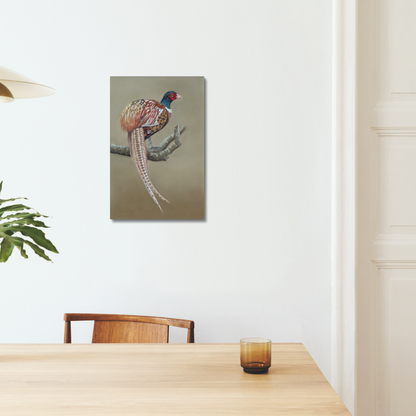Male pheasant: a stretched canvas print of this gorgeously colourful bird