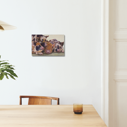Four little piggies: A stretched canvas print of four cute piglets