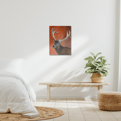 Red deer stag: a stretched canvas print of a majestic red stag deer