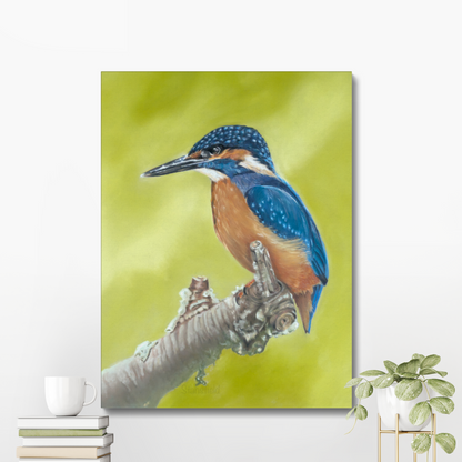 Kingfisher: A stretched canvas print of a colourful British bird