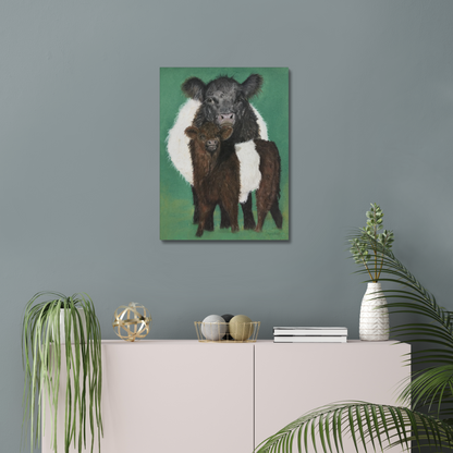 Belted Galloway cow and calf: a stretched canvas of the traditional cattle of Galloway, south-west Scotland