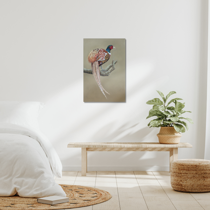 Male pheasant: a stretched canvas print of this gorgeously colourful bird