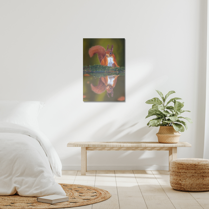 Red squirrel canvas in a room setting