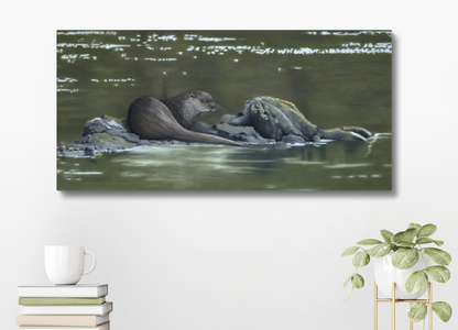 Bright water: a stretched canvas of an otter on the west coast of Scotland