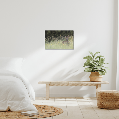 Morning meadow - a female roe deer in early morning grass on a stretched canvas