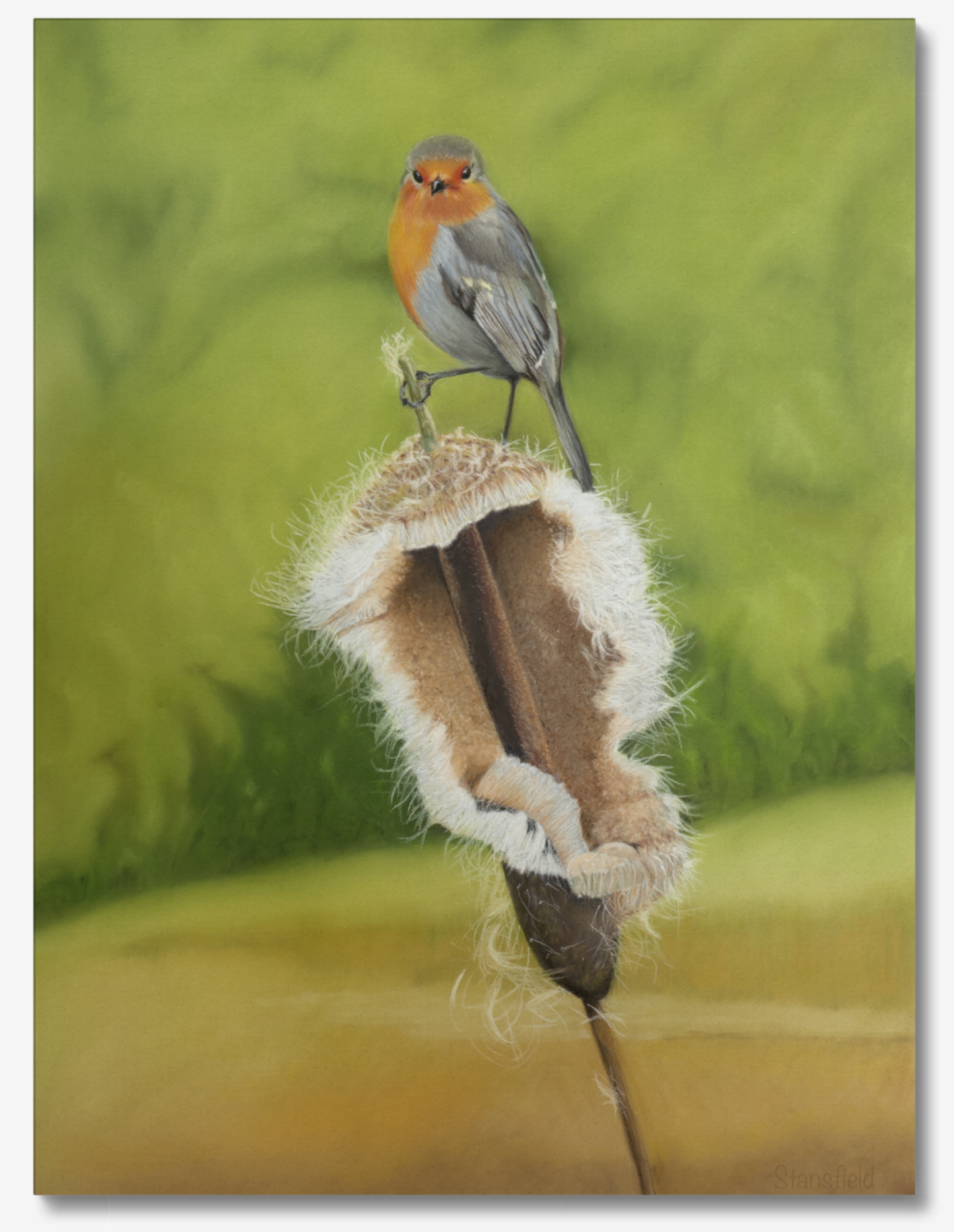 Painting of a robin perched on a bulrush with a green blurred background