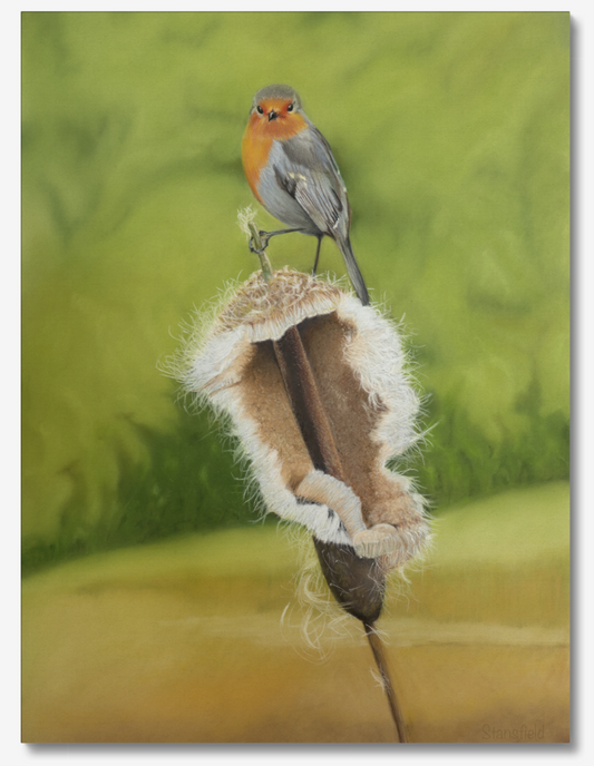 Painting of a robin perched on a bulrush with a green blurred background